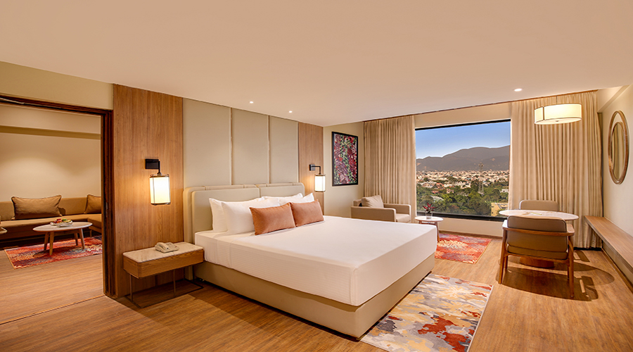 Deluxe Suite