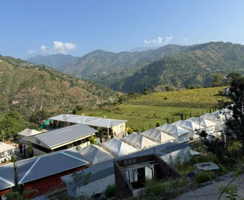 THE MONKEYTAIL RESORT2