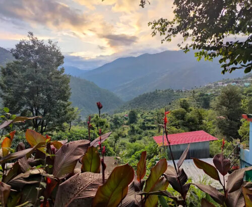 charmachan-view-09